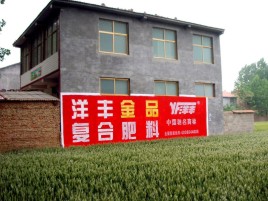 万载如何让墙体广告展现最大化效果