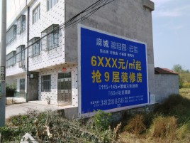 万载墙体广告质量分析